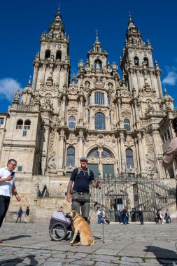 Santiago de Compostela, La Coruna, Galiçya, İspanya - 13 Haziran 2023. Pilgrim ve köpeği Santiago de Compostela 'ya geliyor..