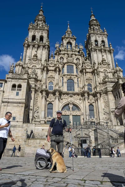 Santiago de Compostela, La Coruna, Galiçya, İspanya - 13 Haziran 2023. Pilgrim ve köpeği Santiago de Compostela 'ya geliyor..