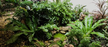 Çeşme ve taşlarla süslenmiş güzel çiçek ve çiçek bahçeleri..