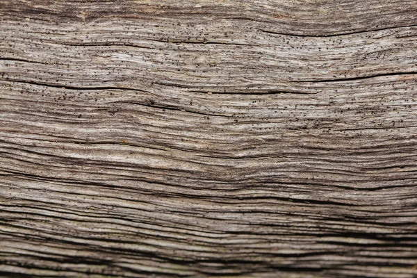 Oude Houten Textuurplaat Met Lijndetails Achtergrond — Stockfoto