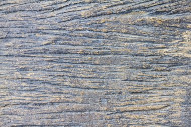 ahşap doku basit arkaplan