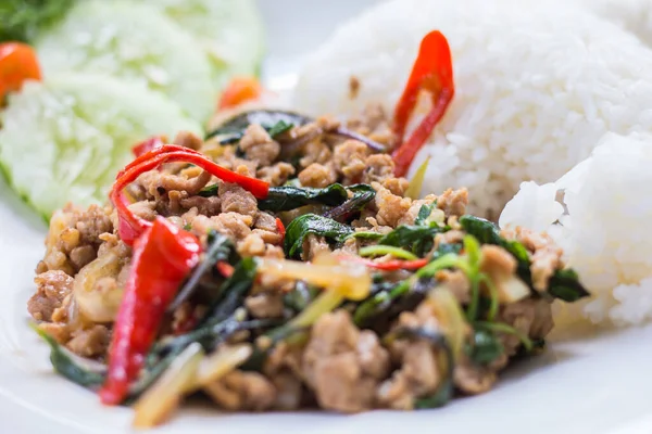 Nasi Dengan Daging Babi Goreng Kayu — Stok Foto
