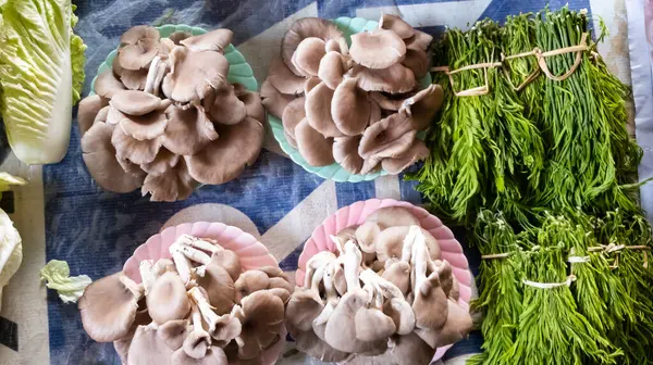 Pleurotus Pulmonarius Mushrooms Piled Plates Acacia Vegetables Sold Tables Home — Stock Photo, Image