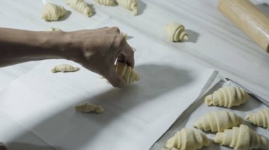 Ev yapımı kruvasan yapma süreci, ellerle kruvasanları fırına koymak için kağıt üzerine şekillendirme işlemi..