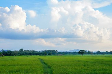 sakin kırsal manzara bulutlu gökyüzü, yemyeşil tarlalar, ağaçlar ve görkemli dağlar doğayla uyum içinde..