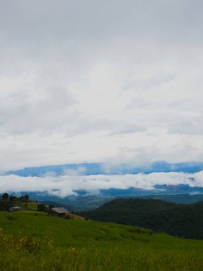 Mae Chaem, Chiang Mai, Tayland 'daki pirinç terasları yeşil tarlaların, temiz hava akıntılarının ve sisli gökyüzünün huzurlu görüntüsüdür. Dikey fotoğraf. Akıllı telefonla çek.
