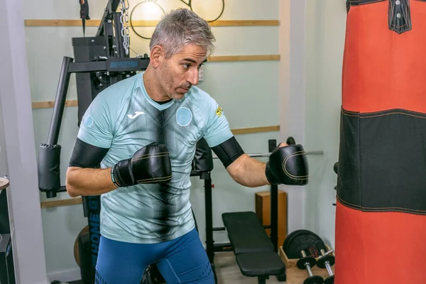 Martial arts master training kickboxing alone in home gym. Adult man performing boxing exercises with training bag at home. Male mature athlete working out in house gymnasium.