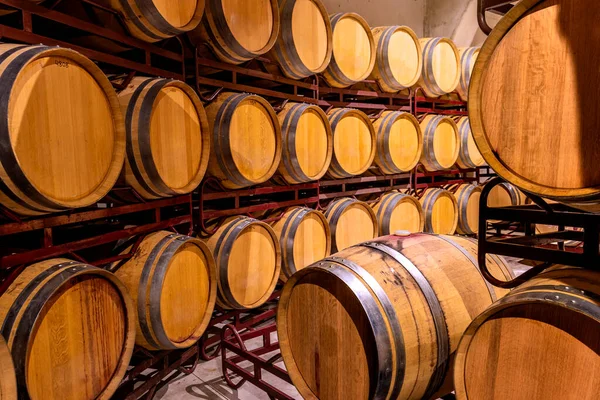 Spanya Şarap Depolamak Için Fıçıları Olan Bir Kiler Şarap Konsepti — Stok fotoğraf