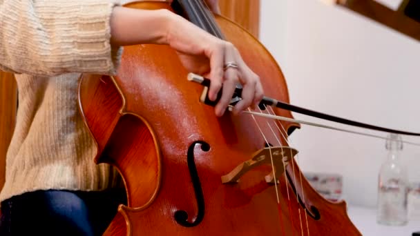 Csellista Lány Tanul Hangszerével — Stock videók
