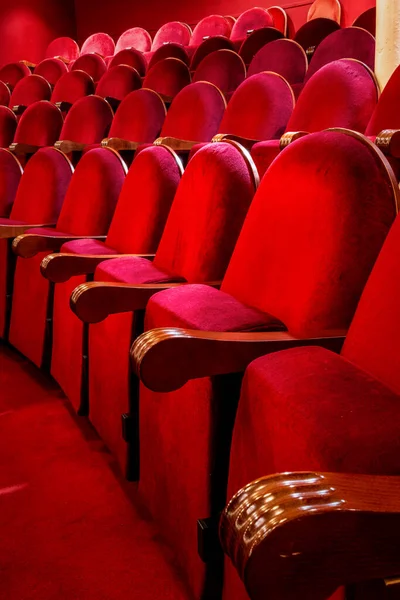 Vertical view of Rows of opera seats. Betting on culture.