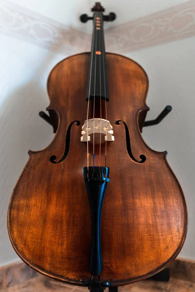 颈部放置位置的儿童启动大提琴 — 图库照片