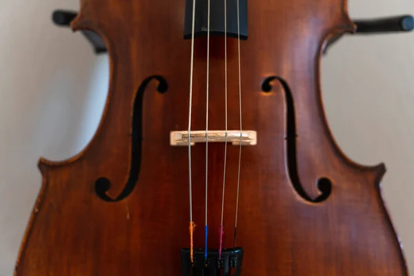 古董之美 用珍贵的大提琴创作美妙的声音 — 图库照片