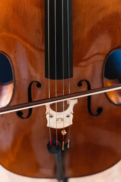 Home Harmonies Talentovaný Violoncellista Zaujatý Podmanivým Výkonem — Stock fotografie