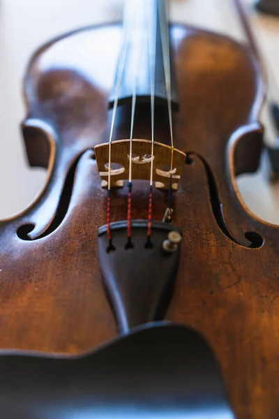 Profondamente Immerso Violinista Professionista Levigare Suo Mestiere Casa — Foto Stock