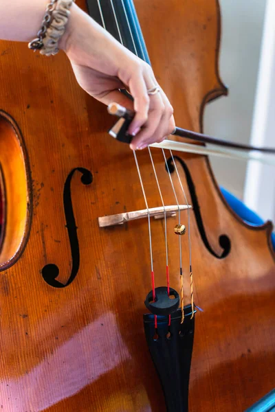 古董大提琴成为年轻大提琴艺术的延伸 — 图库照片