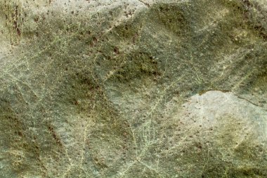 Yaprak doğaya yakın.