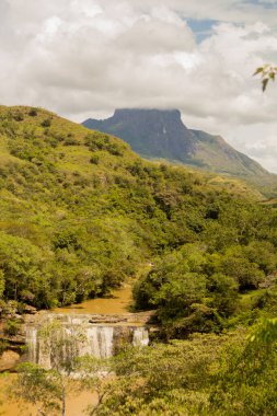 Şelalenin yakınındaki taşlarla doğal bitkiler arasındaki su.