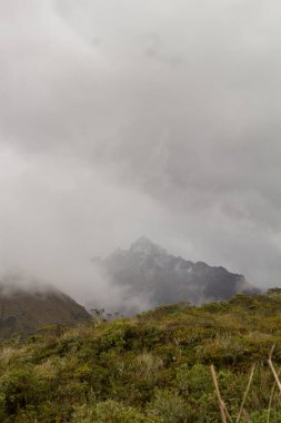 Gün boyunca taş dokusu yakın çekim görüntüsü