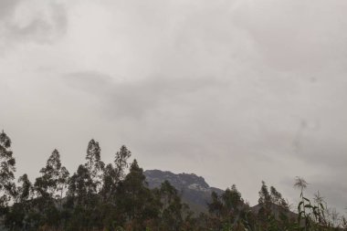 Gün boyunca taş dokusu yakın çekim görüntüsü