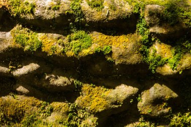 Gün boyunca taş dokusu yakın çekim görüntüsü