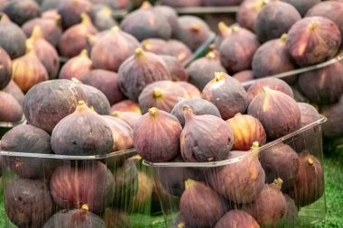 İncir, Pazar, sebze ve meyve satışları, tarım ve tarım ürünleri