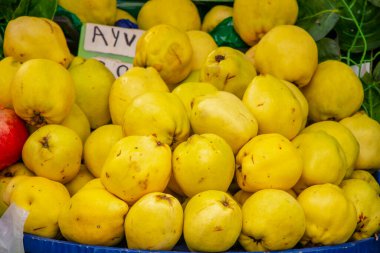 Pazar yeri, sebze ve meyve satışları, tarım ve tarım ürünleri