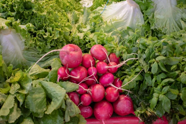 Marktplatz Gemüse Und Obstverkauf Landwirtschaftliche Produkte — Stockfoto
