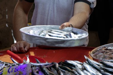 Balık pazarı, taze balık satışı - balık ürünleri