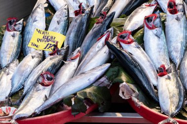 Balık pazarı, taze balık satışı - balık ürünleri
