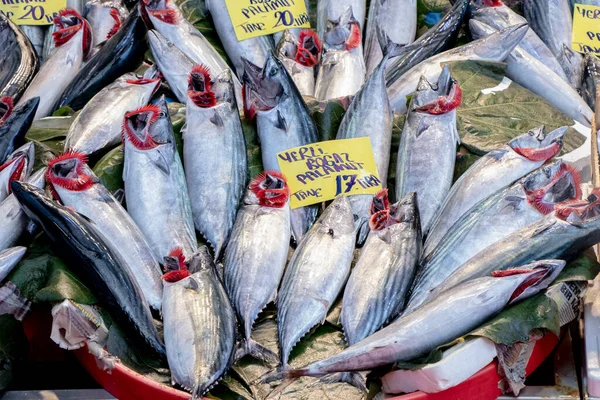 Fish market place, Fresh fish sale - Fish products
