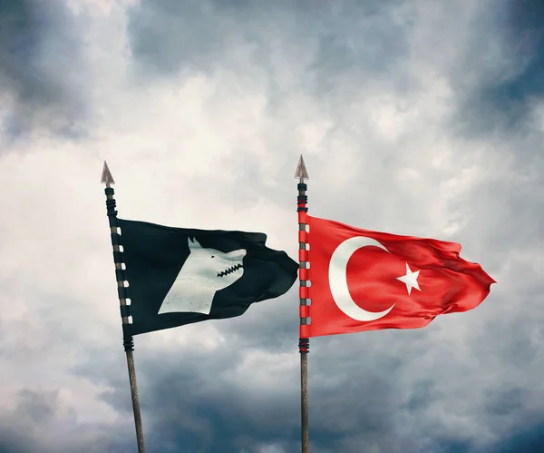 Bandiera Gokturk Stato Gokturk Turchi — Foto Stock