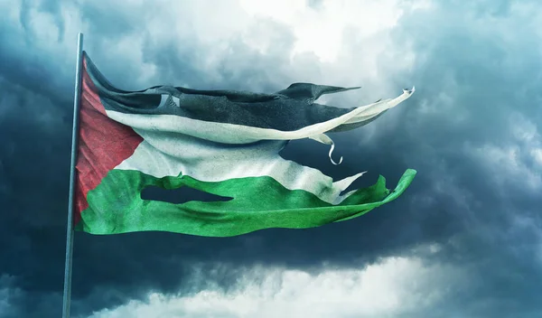巴勒斯坦国 巴勒斯坦国 巴勒斯坦国旗 — 图库照片