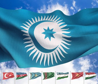 Türk Ülkeleri Organizasyonu - Tercüme: Türk the Tekilat