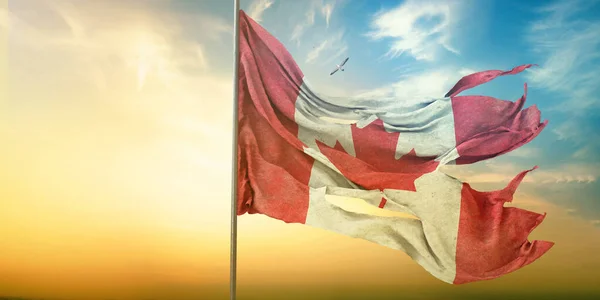 Canada  flag - It is a visual design.