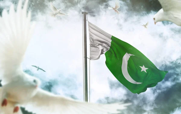 Pákistán Pákistánská Islámská Republika Jedná Vizuální Design — Stock fotografie
