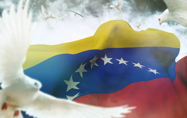 Venezuela, Bolivarian Republic of Venezuela flag - It is a visual design work.