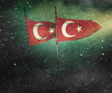 Türk Bayrağı, Dalgalanan Türk Bayrağı, Türkiye Cumhuriyeti - İstanbul, Trkiye