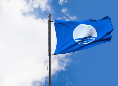 mavi bayrak, Logos Görsel Sunum - Arkaplan Tasarımı