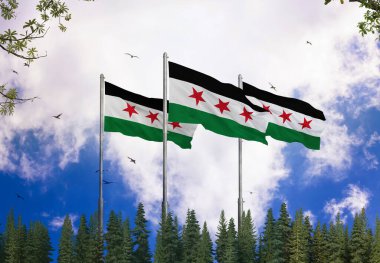 New Syrian Flag - Syria Flag, Flag of the Syrian Revolution  clipart