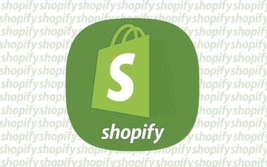 Alışveriş, e-ticaret platformu - Logo Görsel Sunumu.