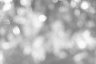 Doğa, daire beyaz duvar kağıdı, gri bokeh arka plan beyaz bulanık zemin