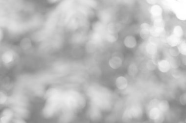 Doğa, daire beyaz duvar kağıdı, gri bokeh arka plan beyaz bulanık zemin