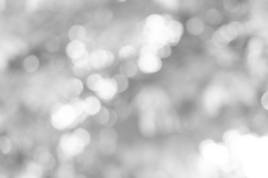 Doğa, daire beyaz duvar kağıdı, gri bokeh arka plan beyaz bulanık zemin