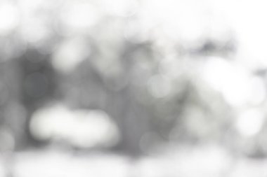 Doğa, daire beyaz duvar kağıdı, gri bokeh arka plan beyaz bulanık zemin