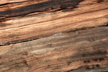 Kahverengi ahşap kaplama. Eski ahşap desenli duvar kağıdı.