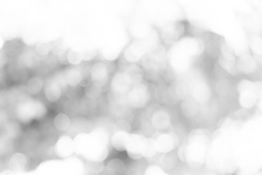 Doğa, daire beyaz duvar kağıdı, gri bokeh arka plan beyaz bulanık zemin