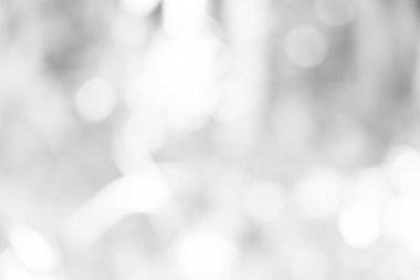 Doğa, daire beyaz duvar kağıdı, gri bokeh arka plan beyaz bulanık zemin