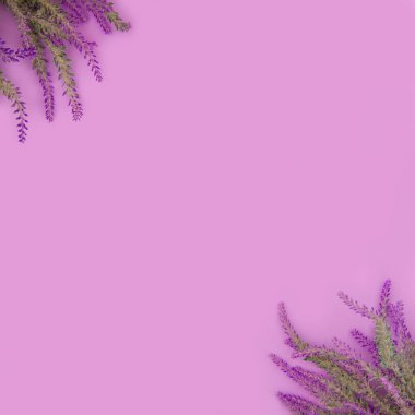 Lavanta çiçekleri, kopyalama alanı olan pembe arkaplanda yatar