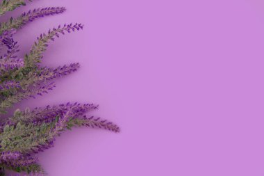 Lavender flowers lie on a purple background with copy space clipart