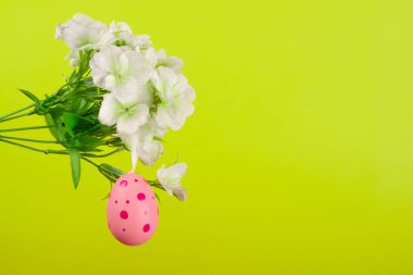 Paskalya şenliklerinin büyüleyici tasviri, puantiyeyle boyanmış pembe yumurtaların sergilenmesi ve canlı yeşil bir arkaplanda çiçek açmış bir dalda sallanışı.